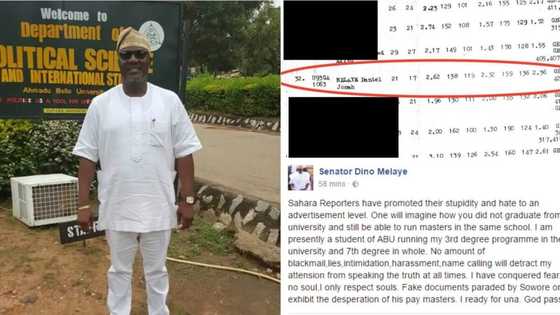 Please sue me if it is true that I did not graduate from Zaria - Dino Melaye reacts