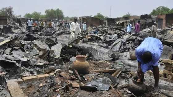 Boko Haram Defeat: Thousands Return To Nigeria