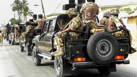 Python dance: Federal High Court orders accelerated hearing in suit against Buhari, army