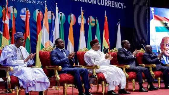 President Buhari calls for caution on ECOWAS currency plan