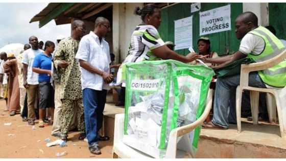 Don’t kill yourselves over politicians; they’ll reconcile with themselves after elections - Catholic priest advises Nigerians