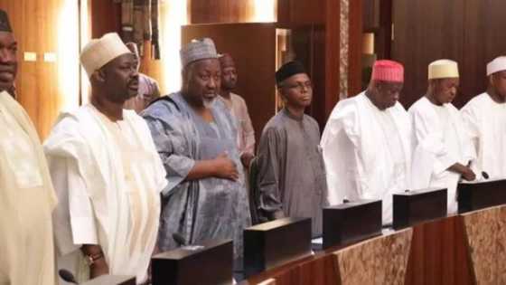 We will miss you - Nigerian governors bid Fayose farewell
