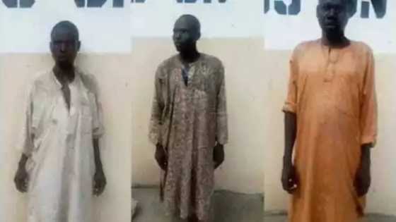 Makashin maza: Ýan ƙato-da-gora sun kama yan Boko Haram 3 a jihar Zamfara