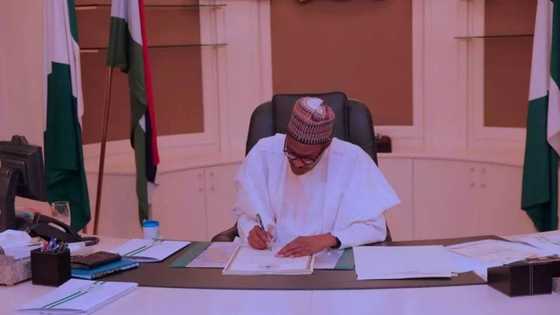 Finally, Buhari clarifies statement on lazy youths, reveals those he was referring to