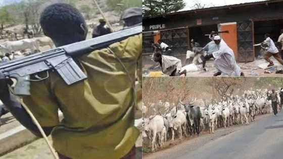 BREAKING: Again, armed herders attack Benue IDPs camp, kill 43, injure many