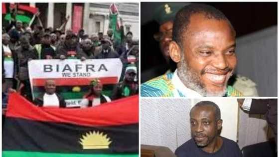 To spite Uwazuruike, IPOB lists schools Nnamdi Kanu attended