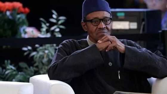 Abuja tayi Allah wada da kisan falastinawa har 58 masu zafin kai ga Israila