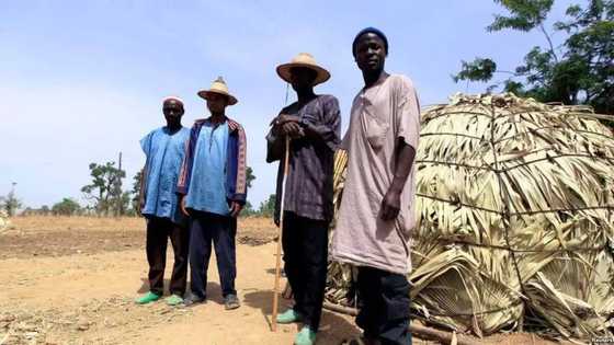 Declare killer herdsmen terrorists - Igbo group urges federal government