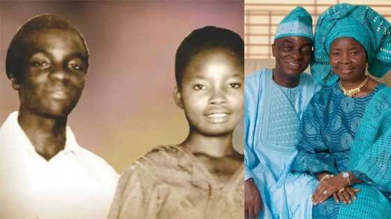 Throwback photos of Bishop Oyedepo haircut, the founder of the Covenant University