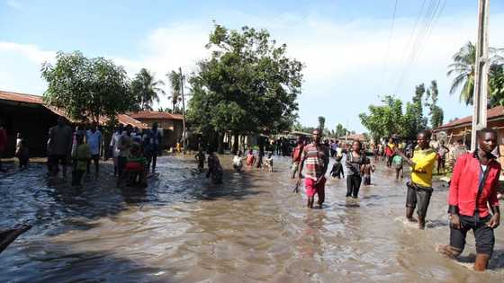 Flooding: Osinbajo's solutions truncate campaigners' politricks by Seyi Gesinde