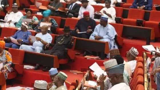 Sunayen sanatocin da suka tallafawa ma’aikatan jihar Kogi da buhunar shinkafa