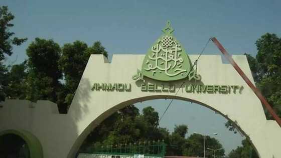 Nagartar Jami'ar Ahmadu Bello ta sake bayyana, Karanta fifikon da ta yiwa sama da jami'o'i 100 na Najeriya
