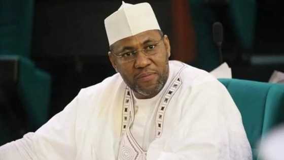 ‘Dan takarar APC ya lashe zaben Sanatan Yankin Daura a Katsina