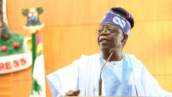 Tinubu reacts to APC's endorsement of Lawan as 9th Senate president, says party discipline must hold