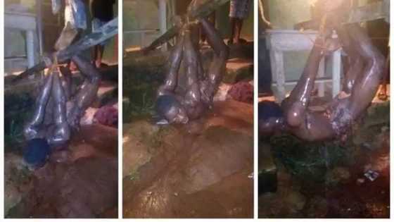 Barawo ya yaba ma aya zaki a jihar Edo