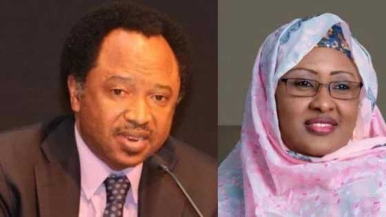 You have joined Kanu in calling Nigeria a zoo - Reactions trail communication between Sani and Aisha Buhari