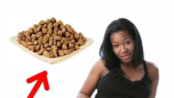 Top tiger nuts benefits every pregnant woman should know