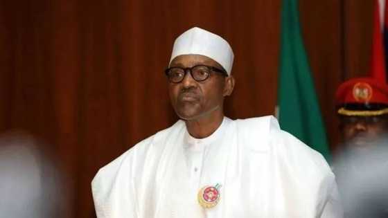 Eid-el-Fitr: Last year, I didn’t because I was on health vacation - Buhari