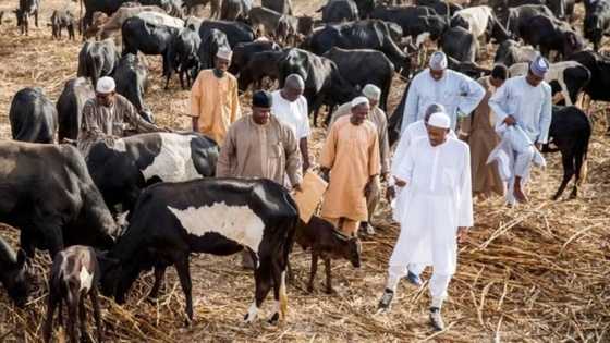 Gona zan koma bayan na sauka daga mulki, Shugaba Buhari