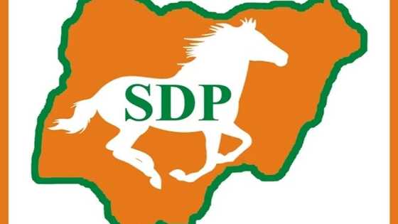 Sama da mutum 100,000 suka yi kaura daga jam'iyyar PDP da APC zuwa jam'iyyar SDP.