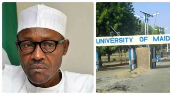 Shugaba Buhari ya jajintawa jami’ar Maiduguri