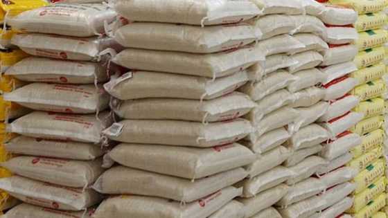 More trouble for smugglers as FG moves to reduce illegal importation of rice through land borders