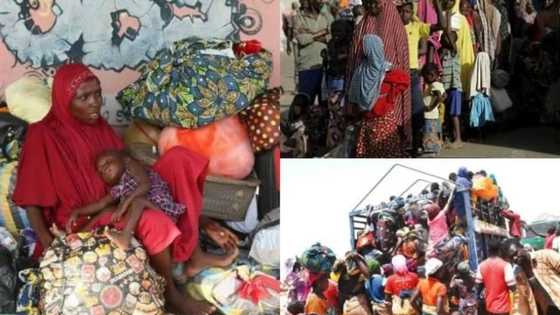 517 Nigerians deported form Cameroon, 85, 000 more to be sent home soon