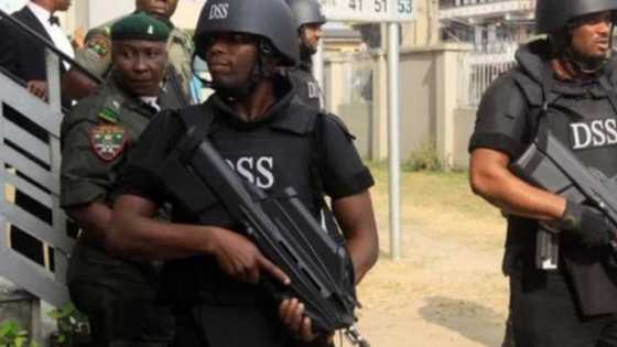 "Mun Kaddamar Da Bincike Kan Cin Zarafin Da Wasu Yan Siyasa Suka Yi Wa Jami'inmu a Adamawa", DSS