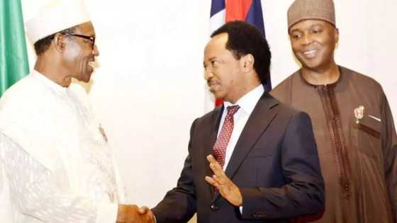 Idan Buhari bai kakkabe baragurbin dake zagaye da shi ba ba zai tabuka komai ba - Shehu Sani