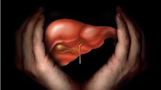 Lafiya jari: Abinci 5 da ke lalata hantar dan adam