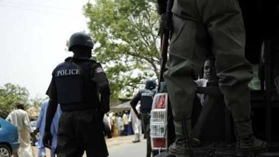 Tirkashi: Wani 'Dan Fashi ya yi satar Motoci 32 a Kudancin Najeriya