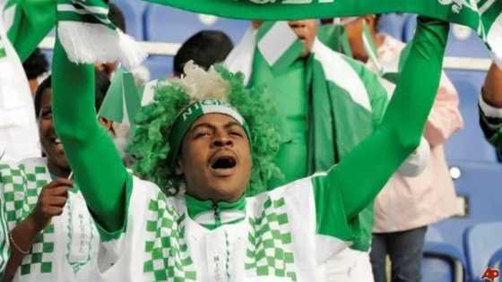 If you steal Nigeria dry and put your hope elsewhere, God will punish you, Opinion by Dolapo Olatubora Oluwaseyi