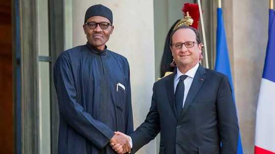 PHOTOS: Buhari Finally Meets With Hollande