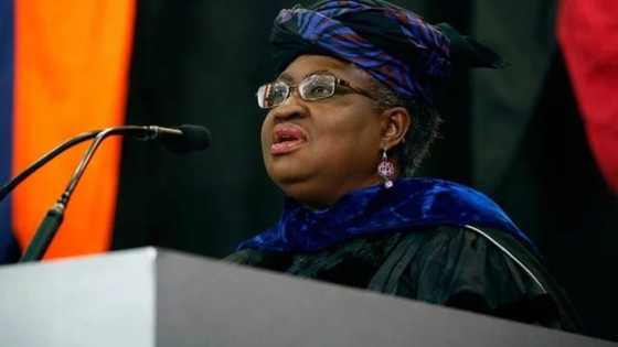 Breaking: 2 months after Okonjo-Iweala's appointment, WTO reveals powerful facts about Nigeria