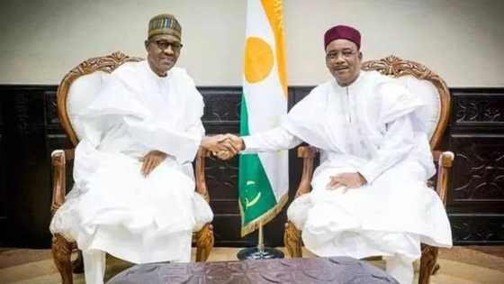Niger denies receiving N1.14bn worth of vehicles from Nigerian government