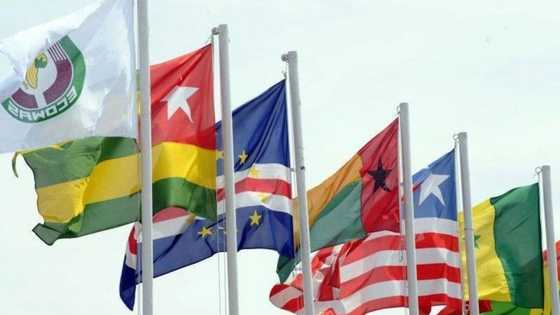 What has ECOWAS done for you since its establishment?