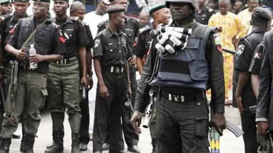 Adamawa: ‘Yan sanda sun kama mutum 21 da ake zargin sun halaka mutum 7 da tsafi