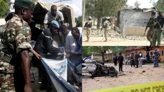 Boko Haram attacked Borno with 11 gun trucks, Police confirms