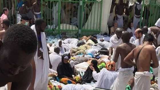 JUST IN: NAHCON boss announces death of 5 Nigerian pilgrims in Saudi Arabia