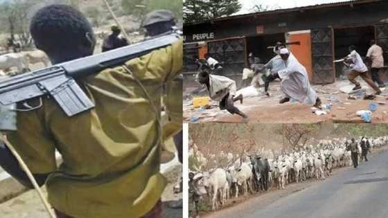 Tears flow as 30 bodies are recovered in Benue after Boko Haram attack