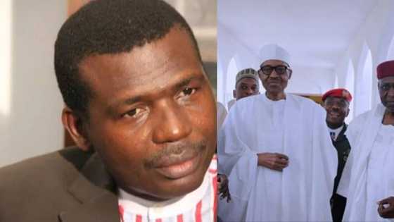 Buhari must go - Adegboruwa calls for mass protest until the president resigns