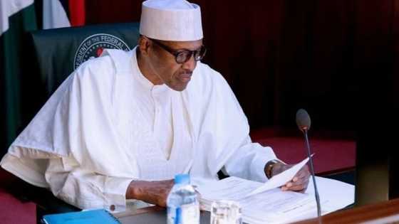 President Buhari remains the only credible choice for 2019 - APC chieftain Ma’aji reveals why