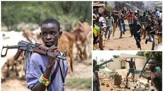 5 killed as Fulani herdsmen attack Benue farmers again