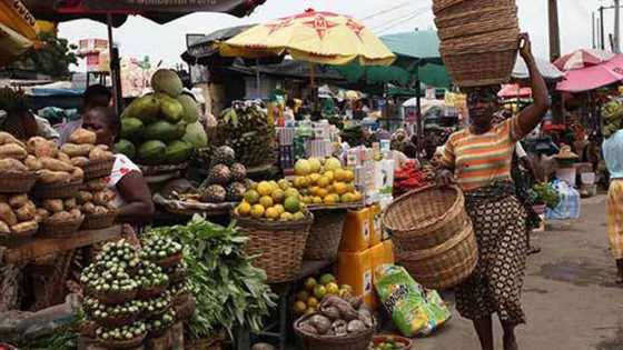 Kogi and Kwara lead the list of states with the highest food price increase