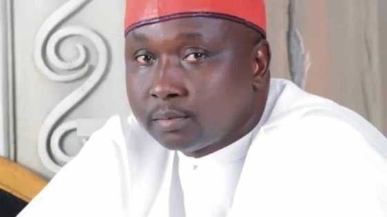 Kwankwaso ya zama tarihi tamkar gunki a gidan Makama - Ado Doguwa