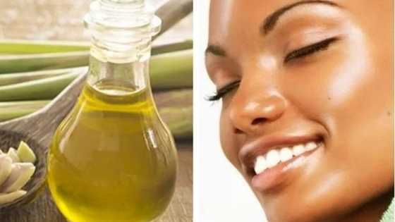 Making Lemongrass Oil at Home Has Never Been Easier