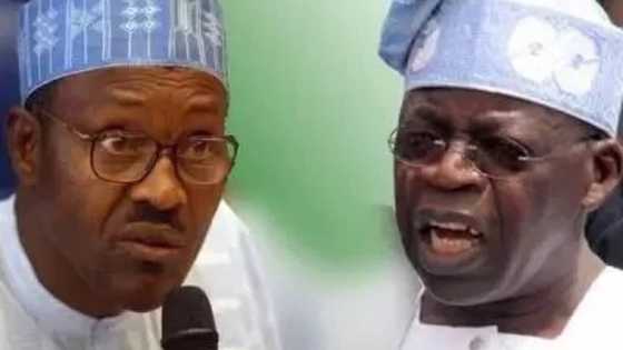 2023: Shugaba Buhari ya yiwa Bola Tinubu hannunka mai sanda