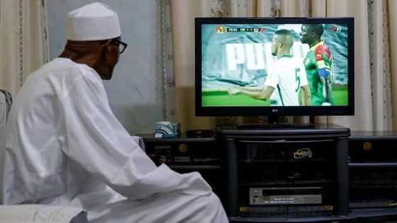Na yi farin ciki matuka da Super Eagles ta lallasa kasar Sudan – Inji shugaban kasa Buhari