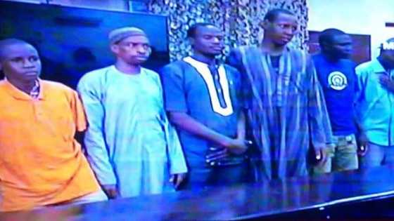Lay down your weapons, repentant Boko Haram fighters urge other terrorists