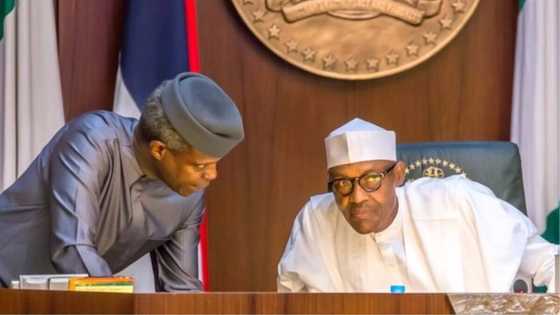 Presidency reacts to Nigeria's exit from economic recession
